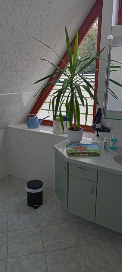 Winzerhaus Rissweg 15 Villa Dresden Dış mekan fotoğraf